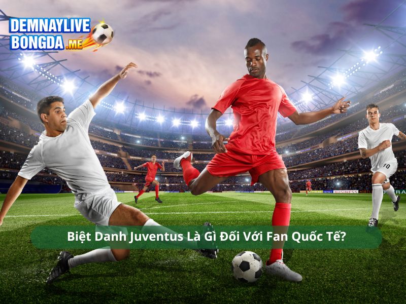 Biệt Danh Juventus Là Gì Đối Với Fan Quốc Tế?