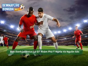 Biệt Danh Juventus Là Gì? Khám Phá Ý Nghĩa Và Nguồn Gốc
