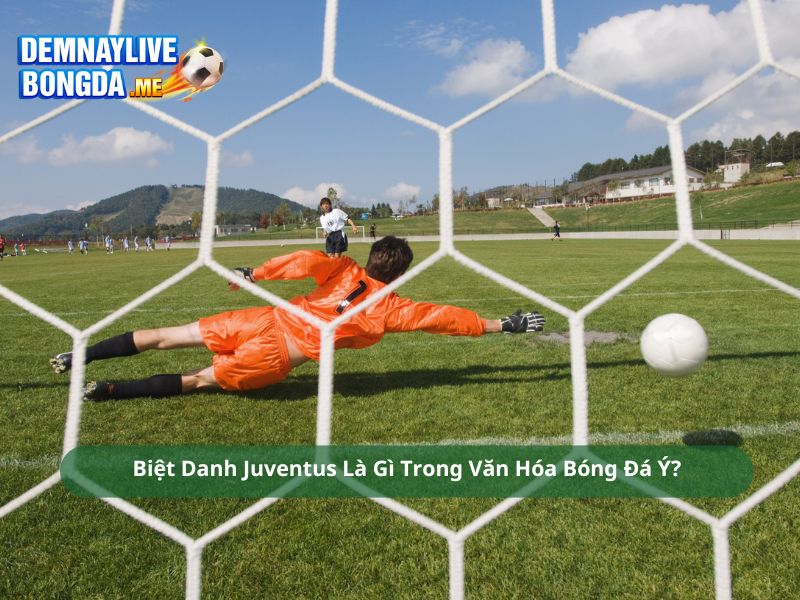 Biệt Danh Juventus Là Gì Trong Văn Hóa Bóng Đá Ý?