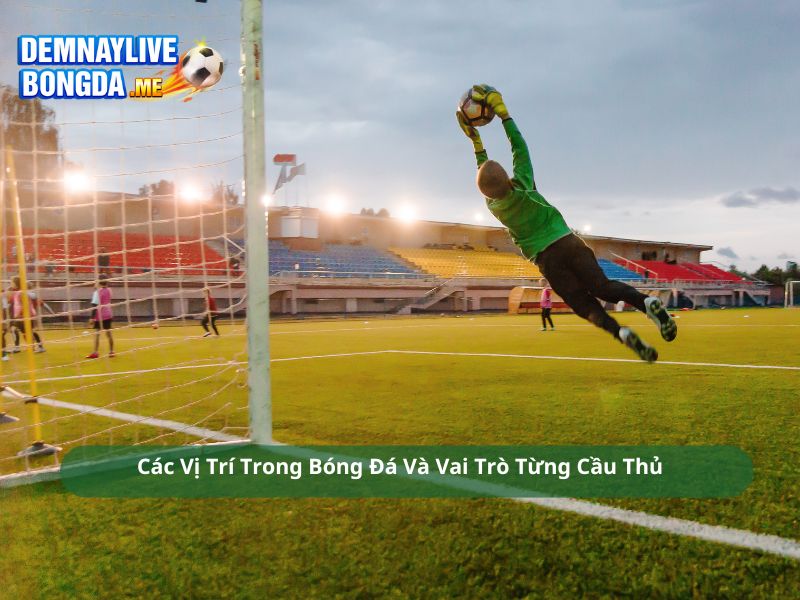 Các Vị Trí Trong Bóng Đá Và Vai Trò Từng Cầu Thủ