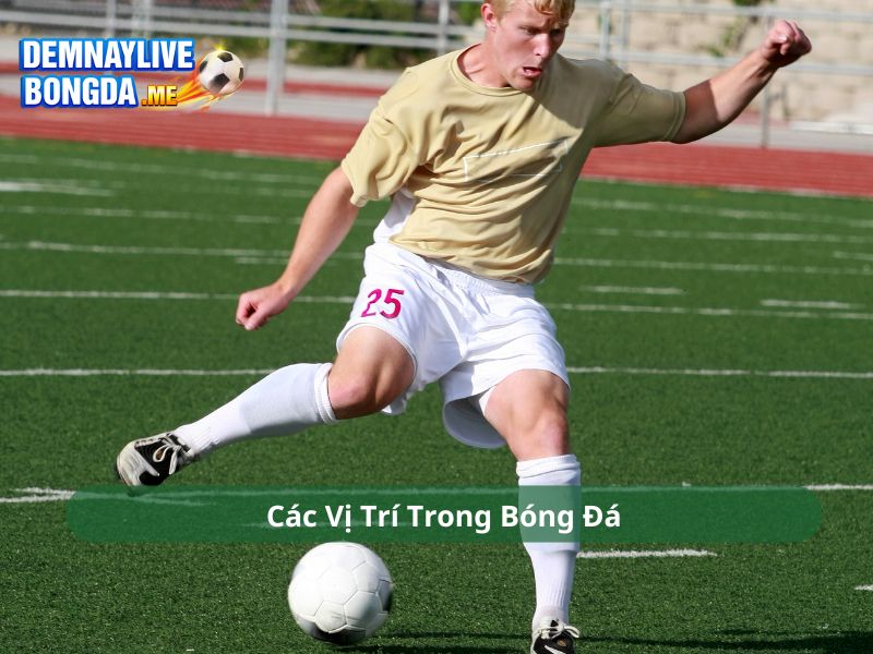 Các Vị Trí Trong Bóng Đá Và Vai Trò Từng Cầu Thủ