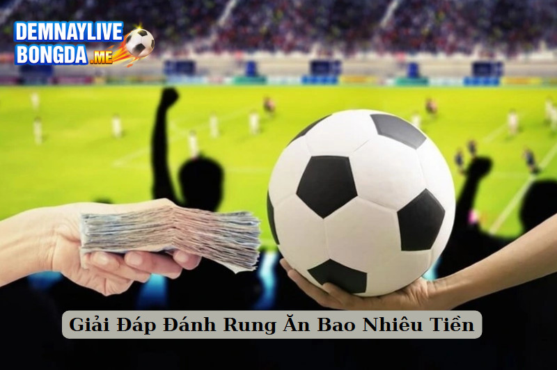Giải Đáp Đánh Rung Ăn Bao Nhiêu Tiền