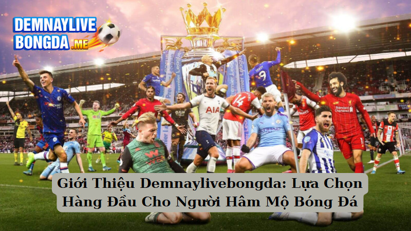 Giới Thiệu Demnaylivebongda: Lựa Chọn Hàng Đầu Cho Người Hâm Mộ Bóng Đá 