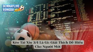 Kèo Tài Xỉu 3/4 Là Gì: Giải Thích Dễ Hiểu Cho Người Mới