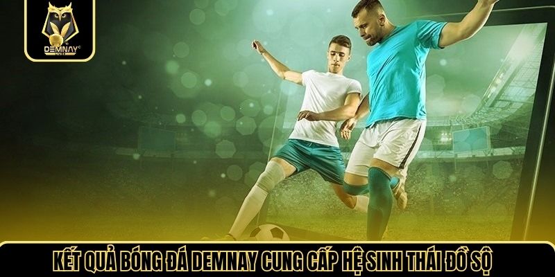 Kết quả bóng đá demnay cung cấp hệ sinh thái đồ sộ
