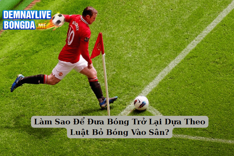Làm Sao Để Đưa Bóng Trở Lại Dựa Theo Luật Bỏ Bóng Vào Sân?