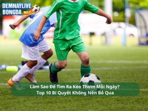 Làm Sao Để Tìm Ra Kèo Thơm Mỗi Ngày? Top 10 Bí Quyết Không Nên Bỏ Qua