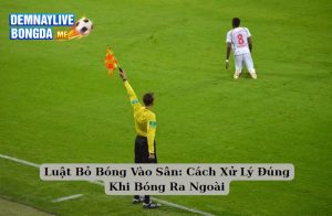 Luật Bỏ Bóng Vào Sân: Cách Xử Lý Đúng Khi Bóng Ra Ngoài