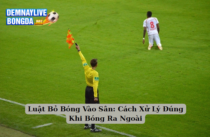 Luật Bỏ Bóng Vào Sân: Cách Xử Lý Đúng Khi Bóng Ra Ngoài