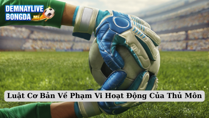 Luật Cơ Bản Về Phạm Vi Hoạt Động Của Thủ Môn