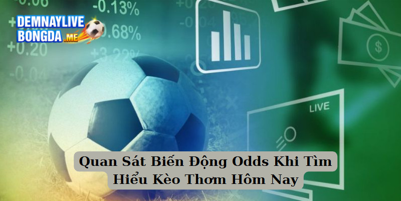 Quan Sát Biến Động Odds Khi Tìm Hiểu Kèo Thơm Hôm Nay