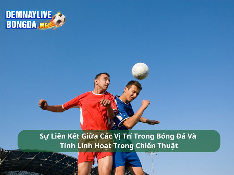 Sự Liên Kết Giữa Các Vị Trí Trong Bóng Đá Và Tính Linh Hoạt Trong Chiến Thuật