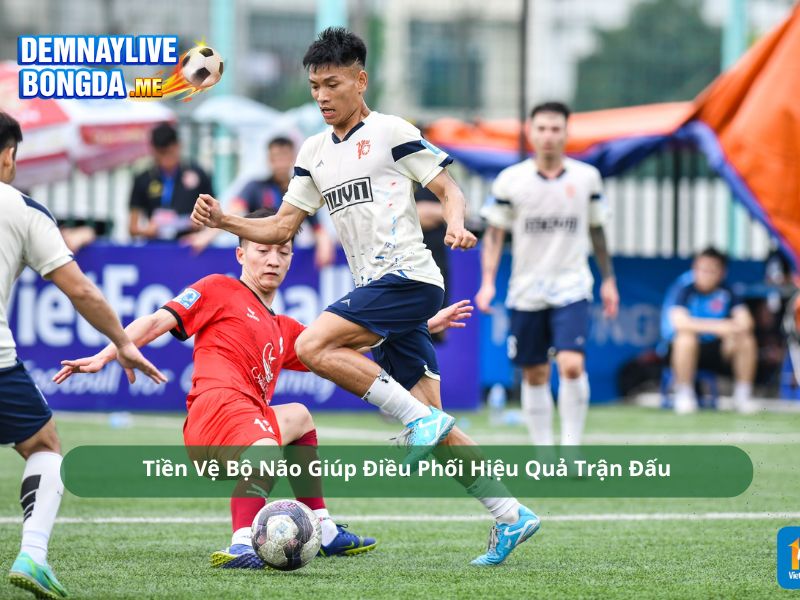 Tiền Vệ Bộ Não Giúp Điều Phối Hiệu Quả Trận Đấu