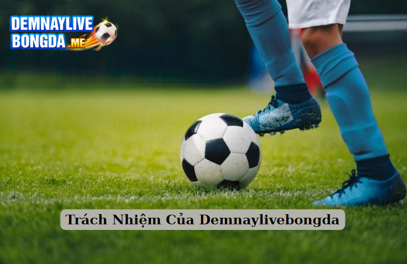Trách Nhiệm Của Demnaylivebongda