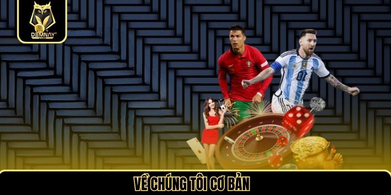 Về chúng tôi cơ bản