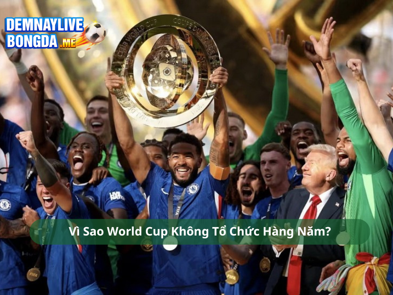 Vì Sao World Cup Không Tổ Chức Hàng Năm?
