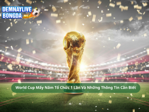 World Cup Mấy Năm Tổ Chức 1 Lần Và Những Thông Tin Cần Biết